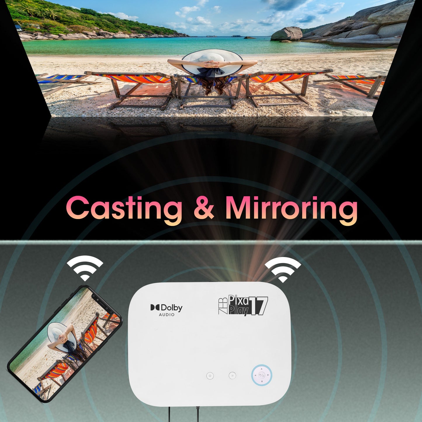 Zeb PixaPlay 17